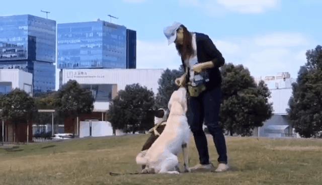 狗狗治愈抑郁症,狗狗能治愈人的抑郁症