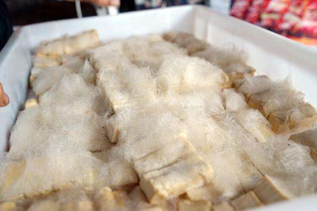 吃屎都觉得可爱的那些人