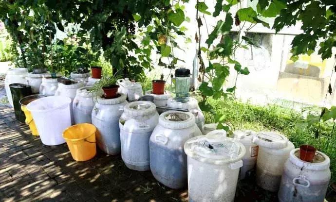 改良土壤有机肥有哪些,土壤改良有机肥什么牌子好