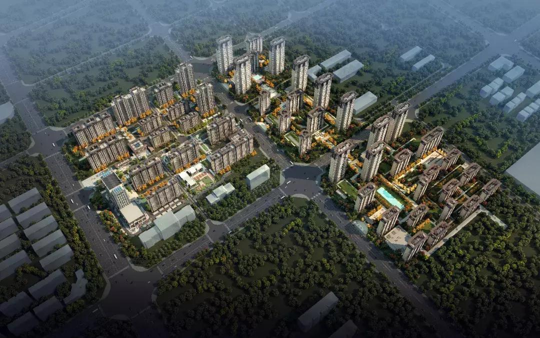 高考志愿填报福利课,助力高考志愿填报公益活动