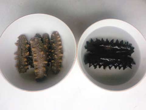 自助餐海参是人造的吗,海参有不能吃的品种吗