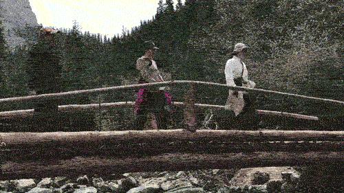 如何品味普洱茶,如何品味一杯红茶