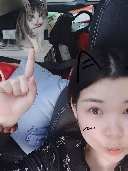 郑州到成都宠物托运,成都到重庆托运宠物多少钱