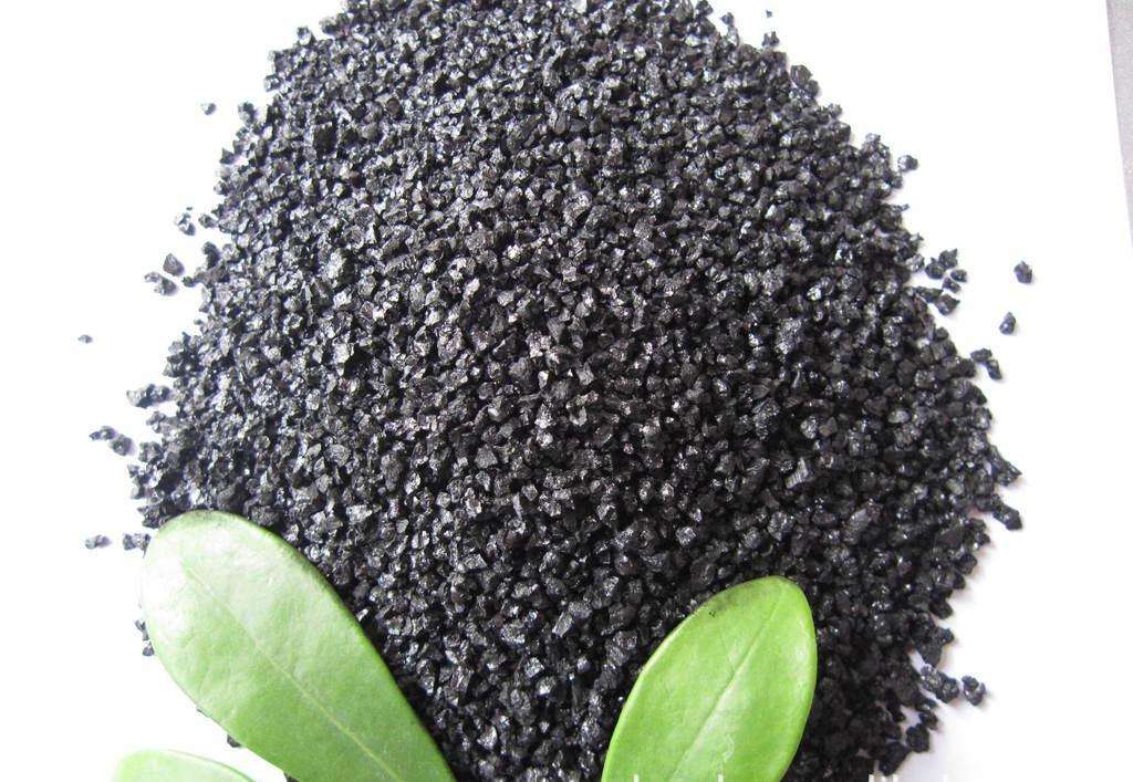 生命的起源是什么？人类的祖先是啥？可以用《易经》解释吗？