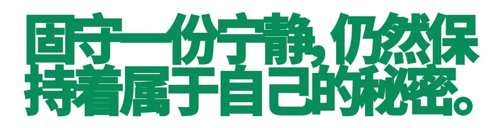 农造田野丨总有一根神经通往乡野|月亮山百里梯田