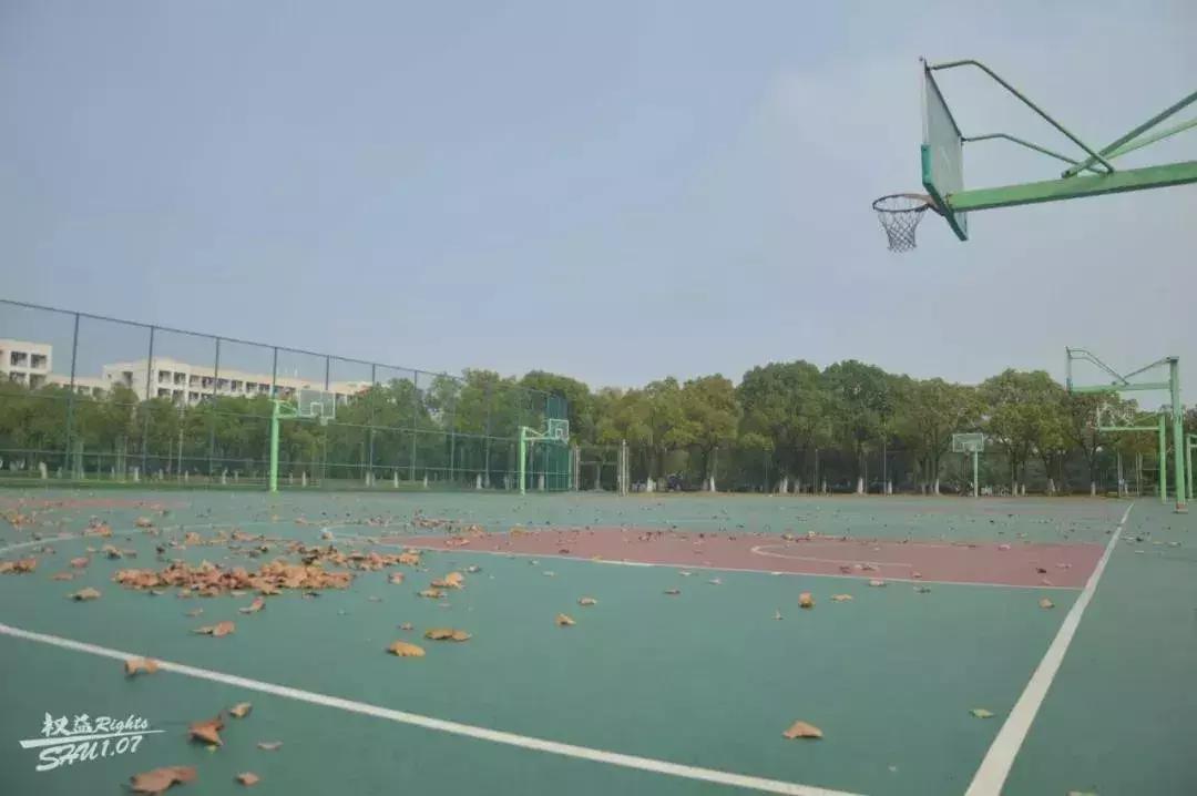 宝山大华两项目11月将同台竞争，提前分析双方优劣，速收藏