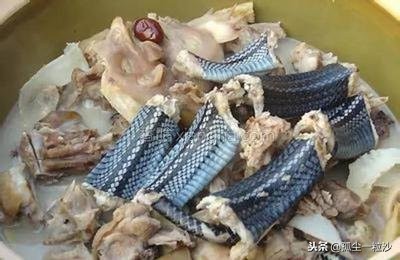 广西梧州十大美食,梧州美食打卡攻略