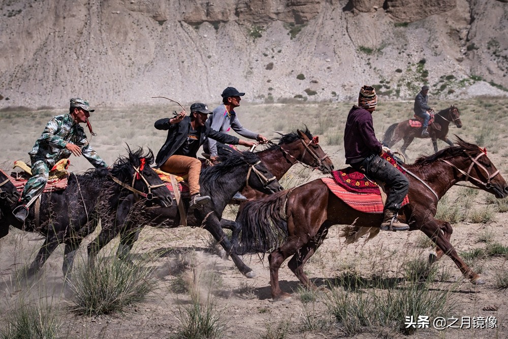 铁血雄鹰全剧,铁血雄鹰全文阅读
