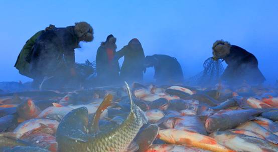 查干湖捕鱼基本上捕多少斤,查干湖冬捕每年什么时间捕鱼