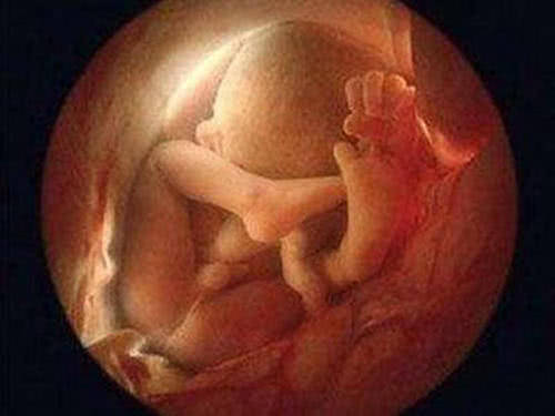 孕妈不爱动怎么办,孕妈睡不着会影响胎儿休息吗