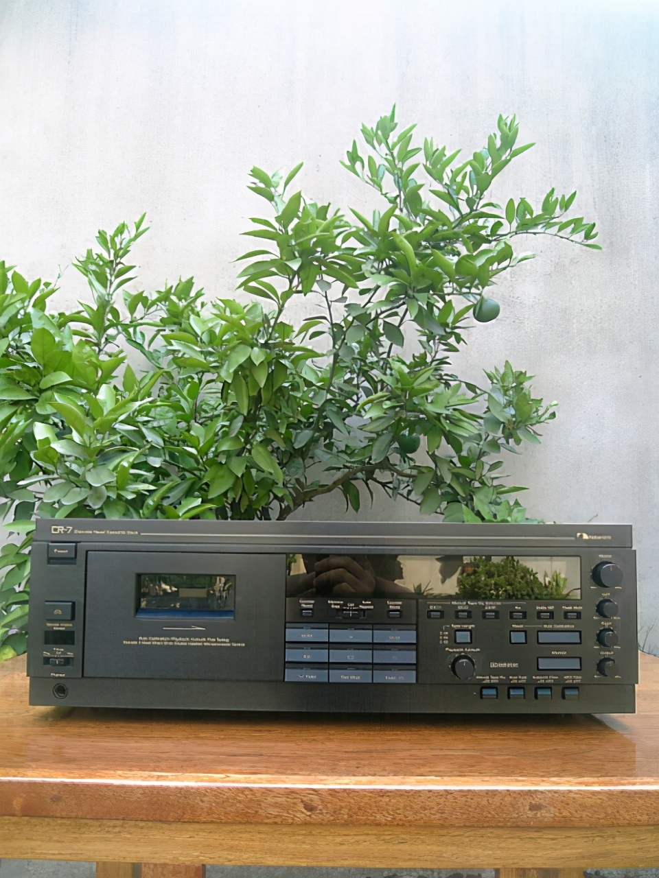 鏀堕泦鎰熷叴瓒ｇ殑涓滆タ,鎼滈泦鎰熷叴瓒ｇ殑浜嬬墿