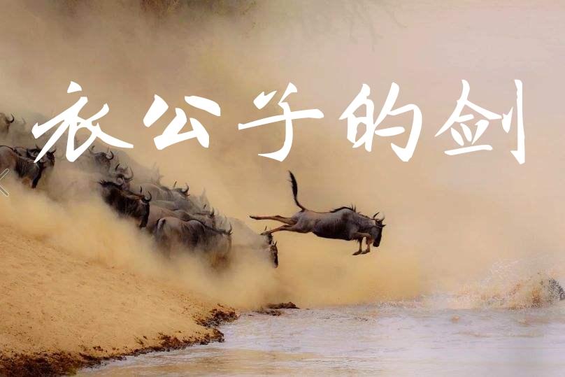 义乌的衣服男装,义乌市男士衣服