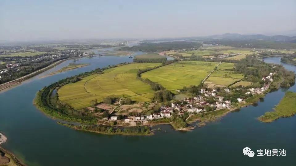 村级集体经济发展经验做法,发展壮大村集体经济思路和想法