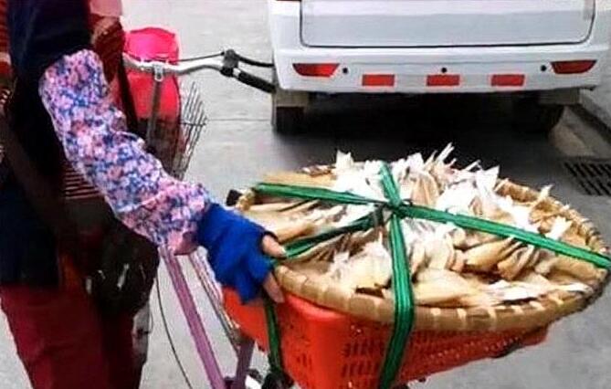 大年夜大年夜妈推车卖美食40元一斤一会卖100斤