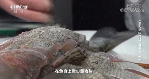 钱塘江鱼市,钱塘江神话传奇故事