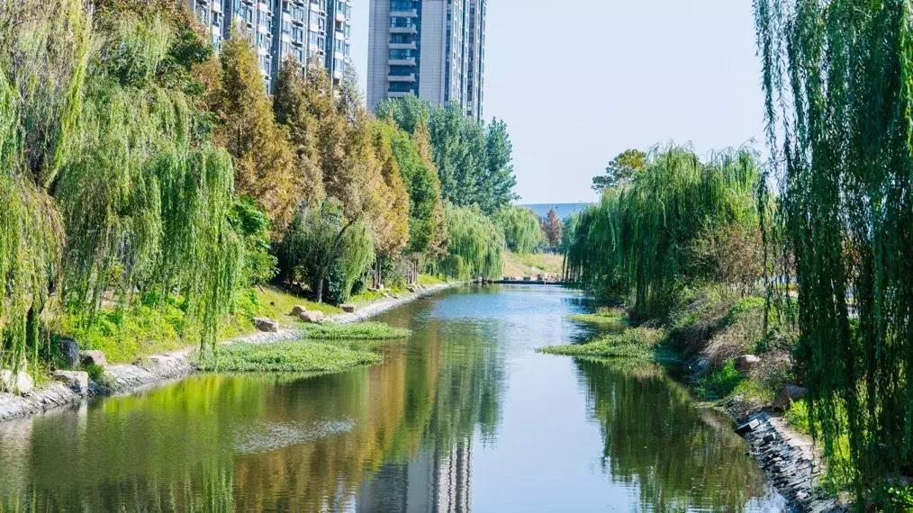 栖霞公路环境整治,栖霞市综合治理