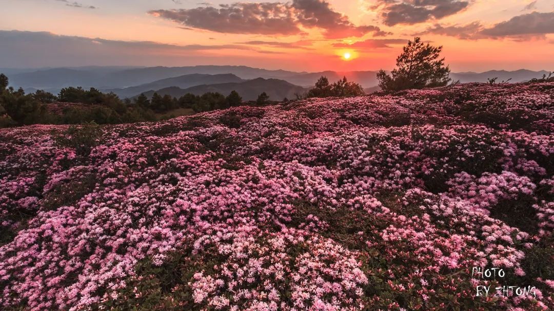 被大理丽江掩盖风头又怎样？它才是云南No.1！5月它太美了