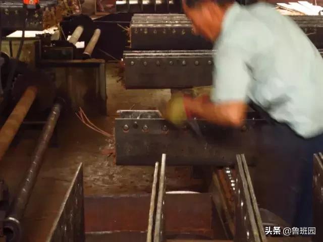 竹子怎么变异成龟甲竹,看竹子挖笋技巧