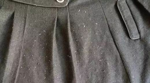 衣服掉毛絮严重怎么处理,洗好的衣服上沾的毛毛怎么办