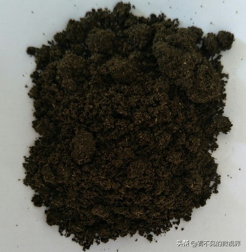 无抗养殖//益生菌发酵中药用在猪牛羊鸡养殖生产中有哪些优势？