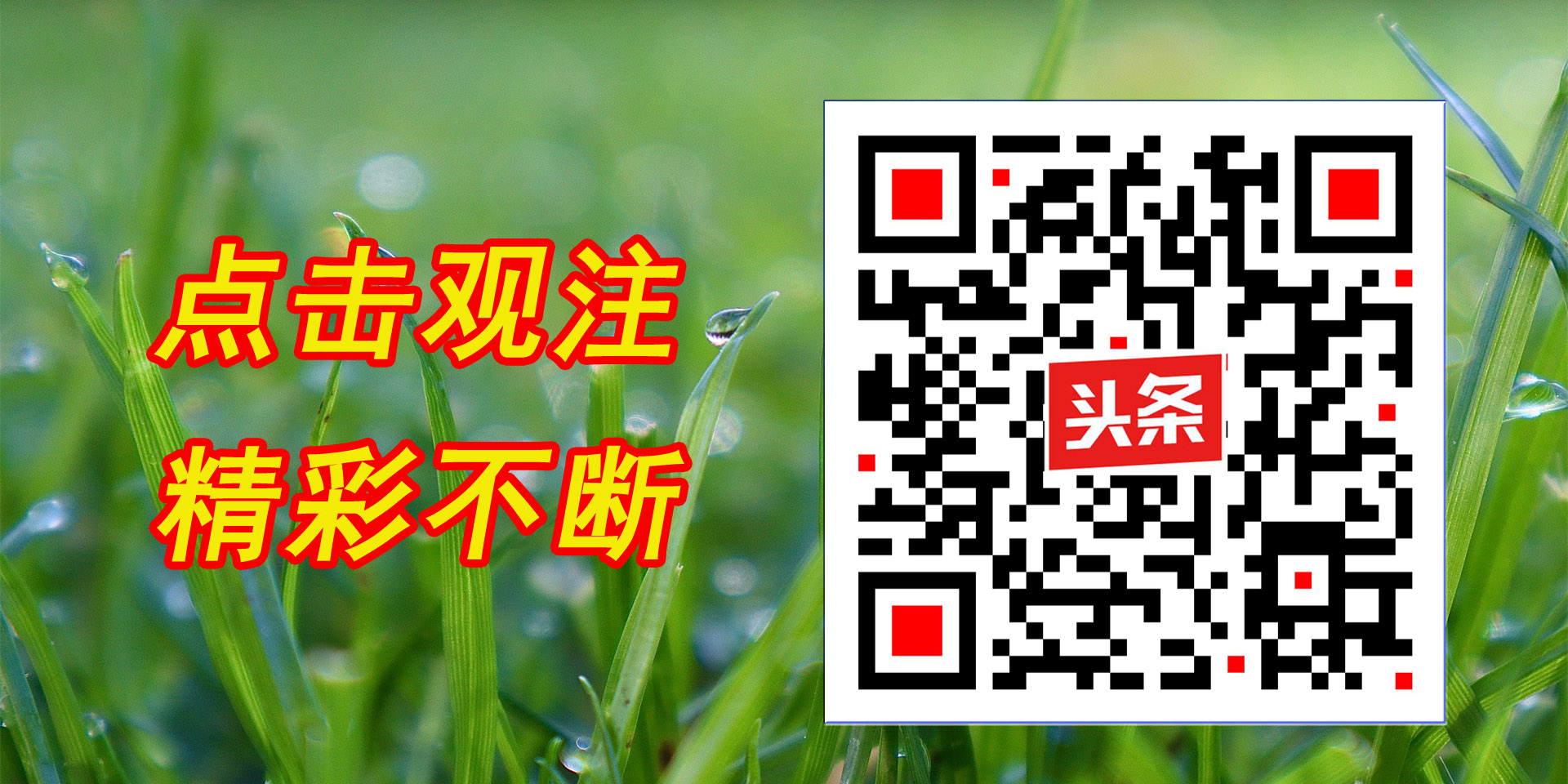 瀹堟姢鏍″洯鎶楀嚮鐤儏,鎶楃柅鍖绘姢浜哄憳瀹堟姢鏍″洯