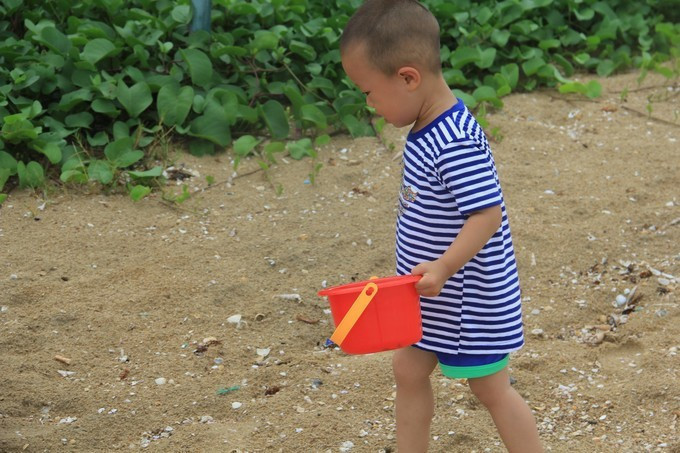 海边美食推荐旅游攻略,海边旅游美食风景攻略