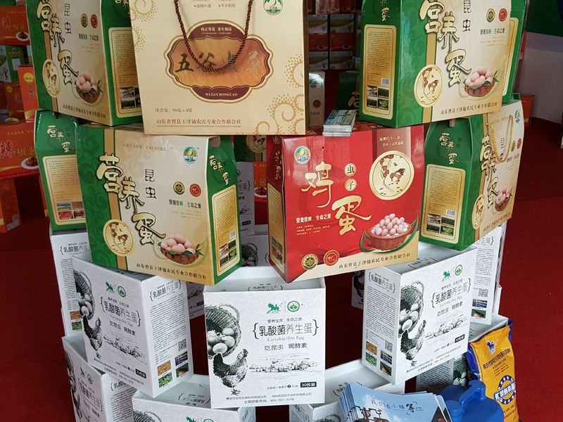 黑水虻自动化养殖全过程,黑水虻幼虫在水产养殖中的应用