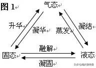 2022年三年级下册科学知识点总结,人教版三年级下册科学试卷及答案
