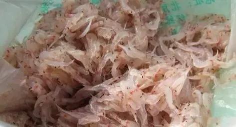 海南渔民整理的海鲜大全,渔民海鲜介绍