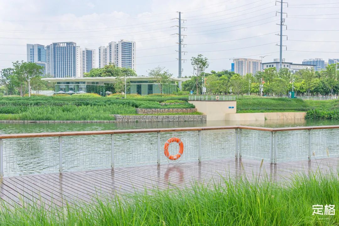 沙井万丰哪里的生蚝好吃,深圳沙井生蚝最出名店