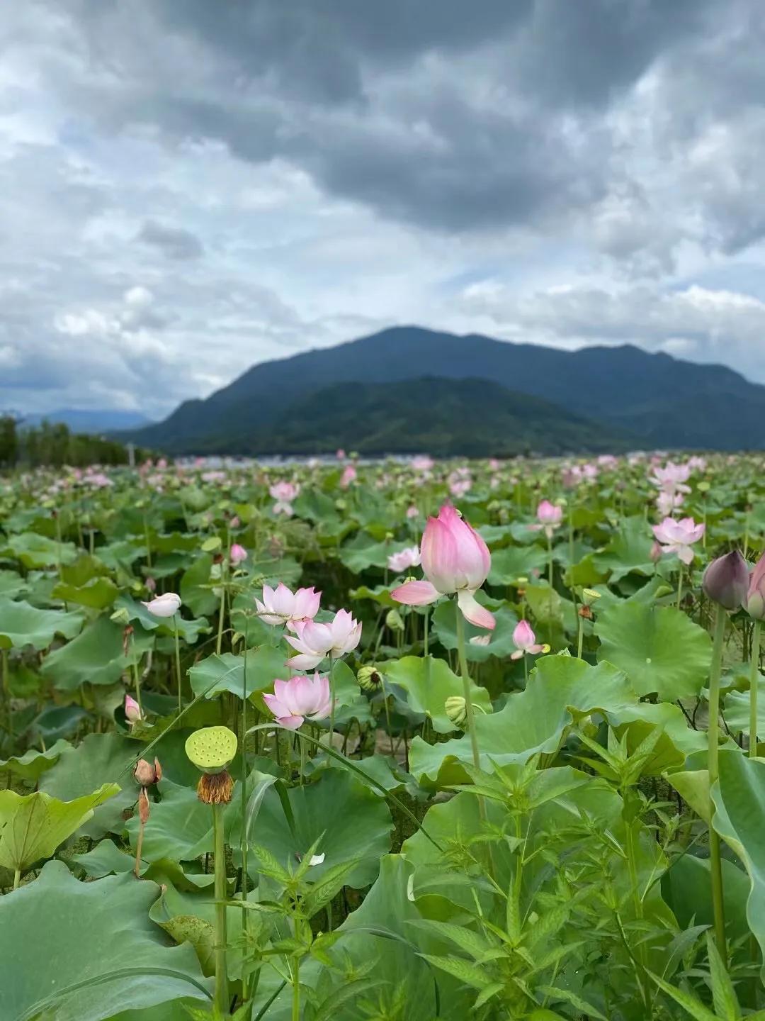 关于通信设备变迁的视频,1g到5g通信设备变迁