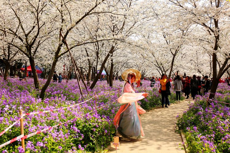 鑻遍泟褰掓潵妯辫姳鏈夌害,妯辫姳鐩涘紑鑻遍泟褰掓潵瀹屾暣瑙嗛