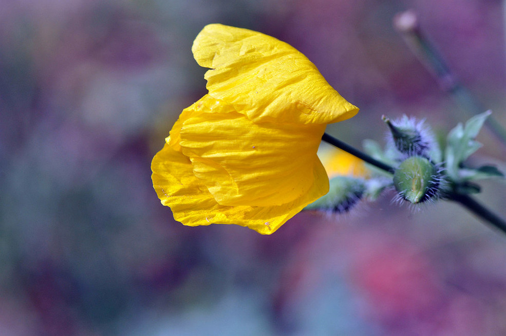 蓦然回首灯火阑珊处是什么深意,蓦然回首才发现留给你的全是伤害