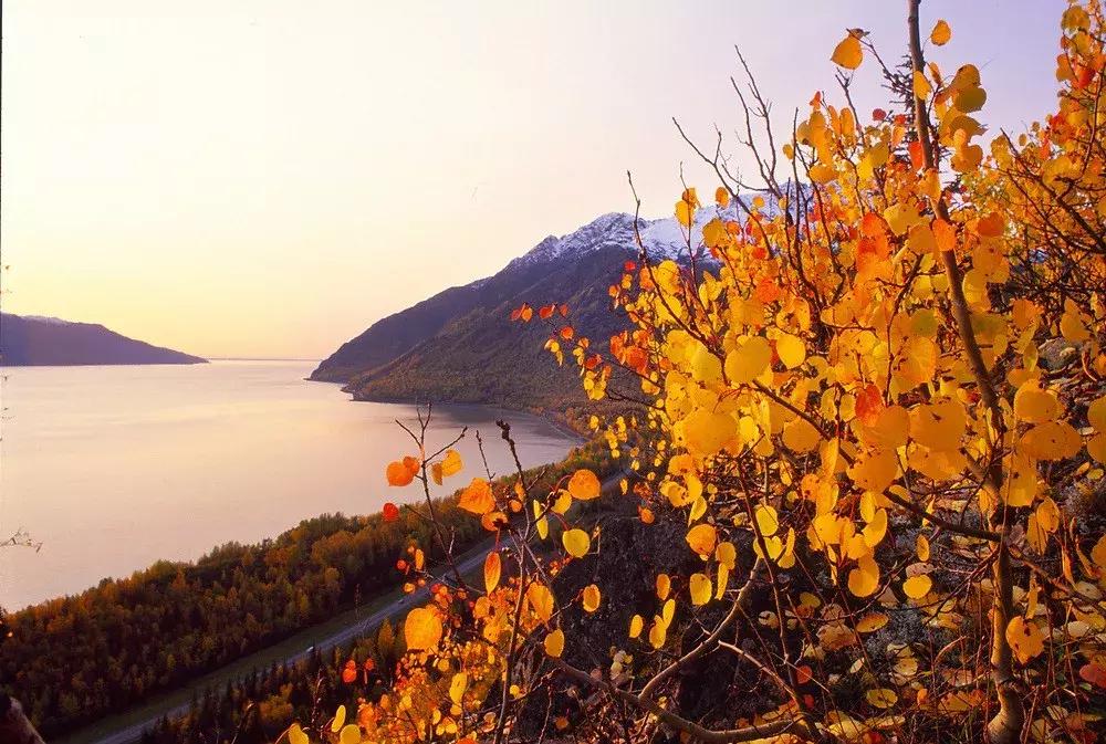 美国120条最美公路 (全美最美公路)