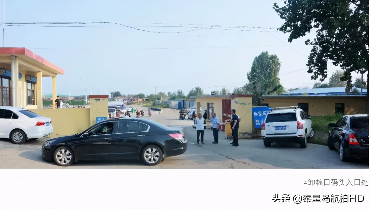 秦皇岛买海鲜去哪里?去码头便宜又新鲜,渔民:船靠岸就被抢光