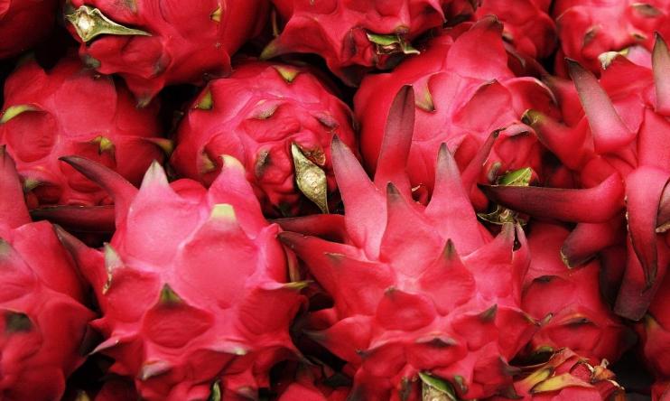 火龙果怎样买是最好的,红心火龙果怎么买新鲜又便宜