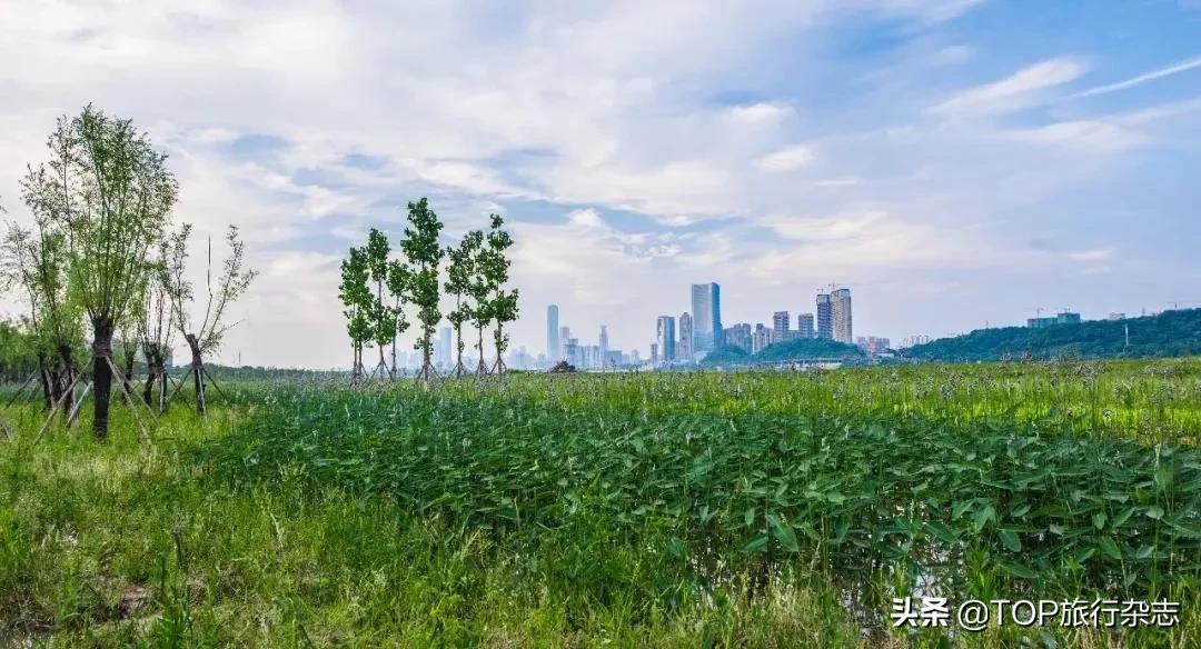 长沙隐藏的小岛,其实长沙还藏着很多小众景点