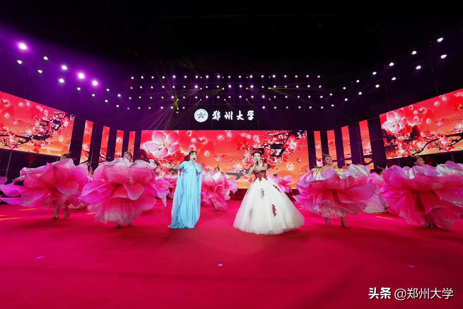 爸妈，我在郑大好好好好好好好极了！