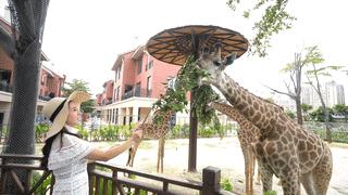 厦门灵玲动物王国大熊猫,厦门马戏团灵玲动物王国观光游览