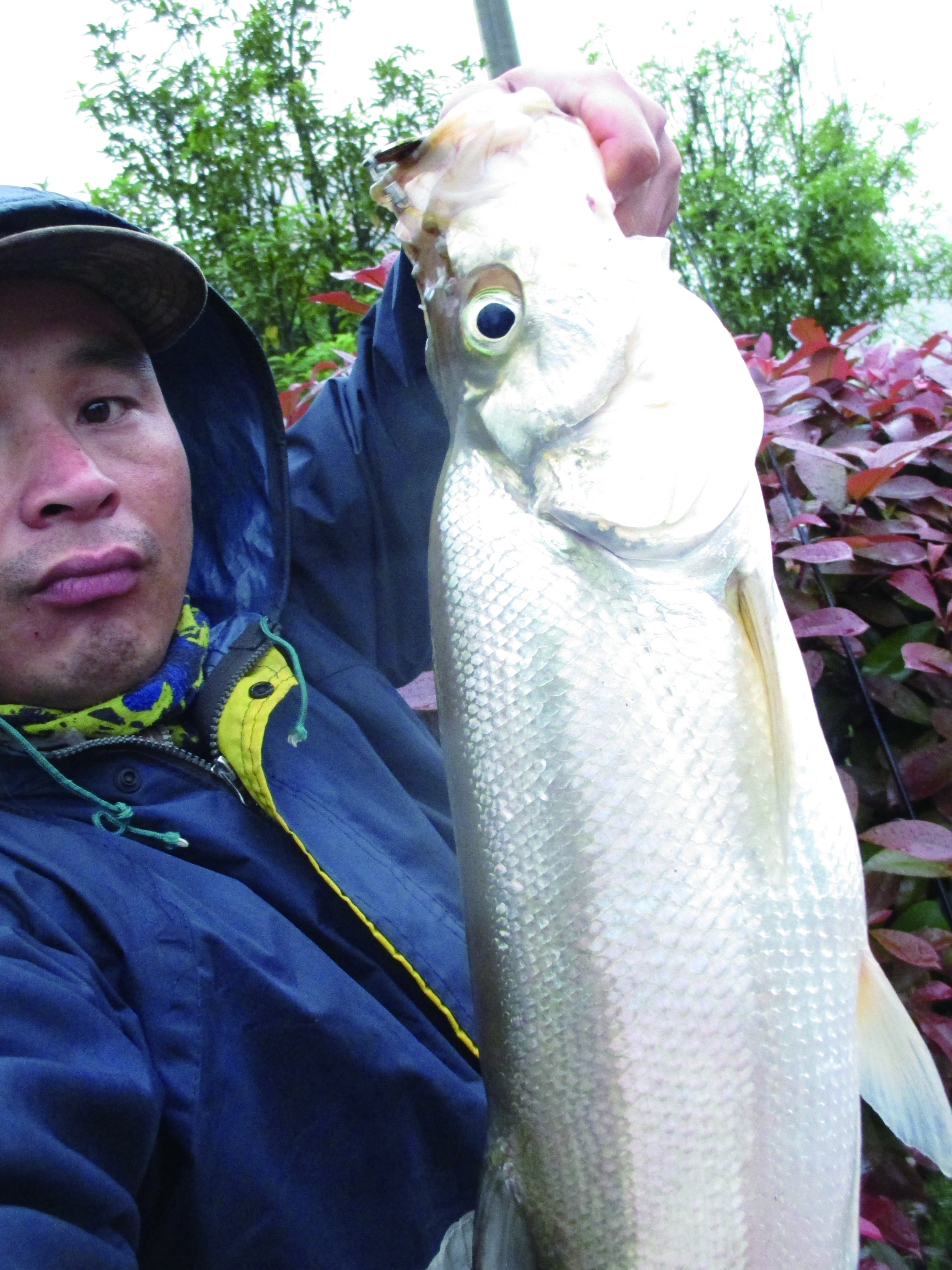 玩路亚第一天上鱼,玩路亚几年的变化