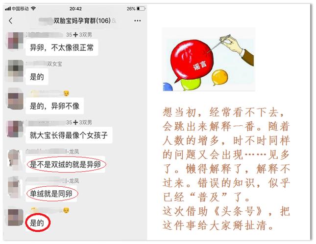 两个胎盘的双胞胎是同卵还是异卵,双胞胎一个胎盘有几条脐带