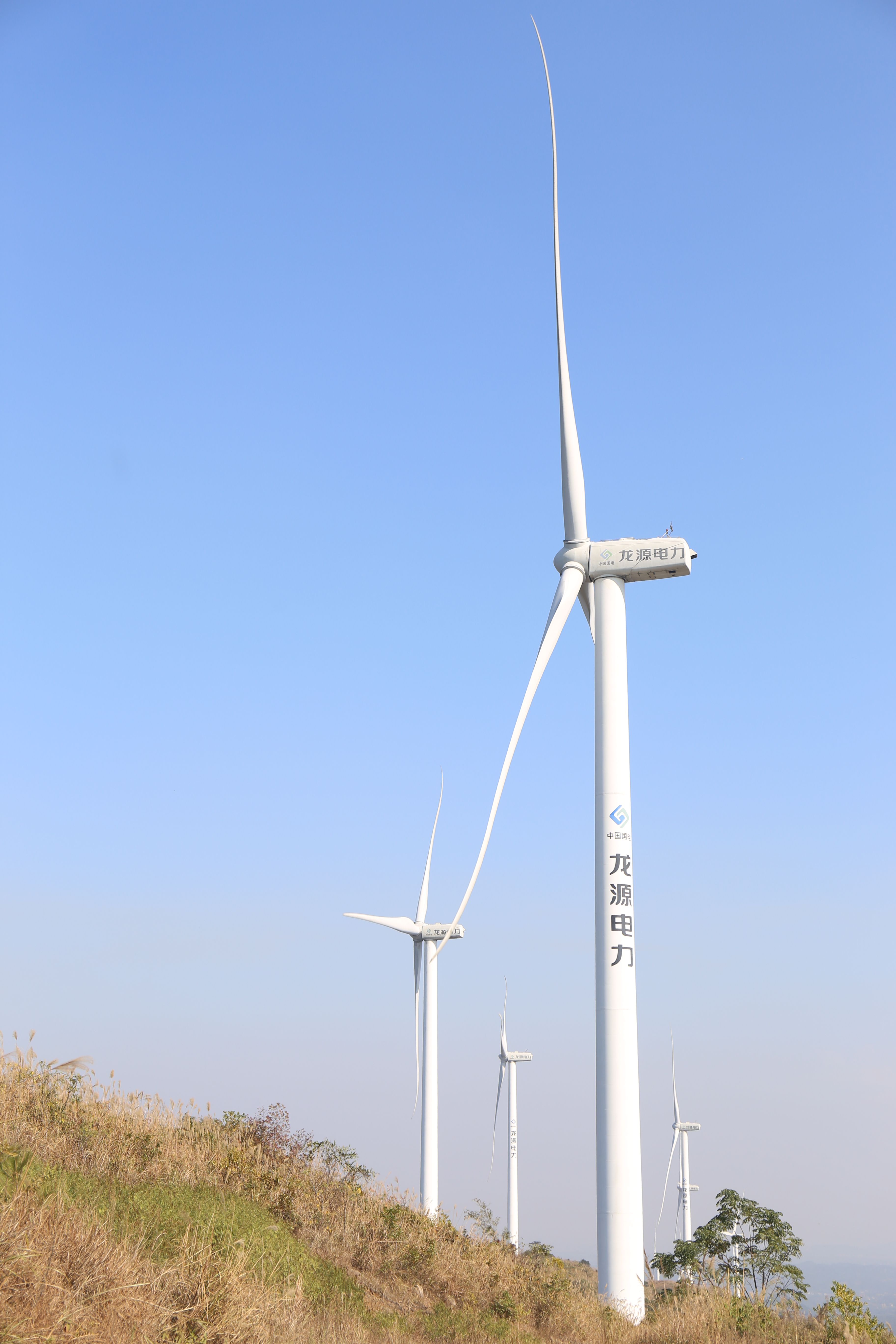 南宁东两天两夜旅游攻略,南宁出发3-5天自驾短途旅游推荐