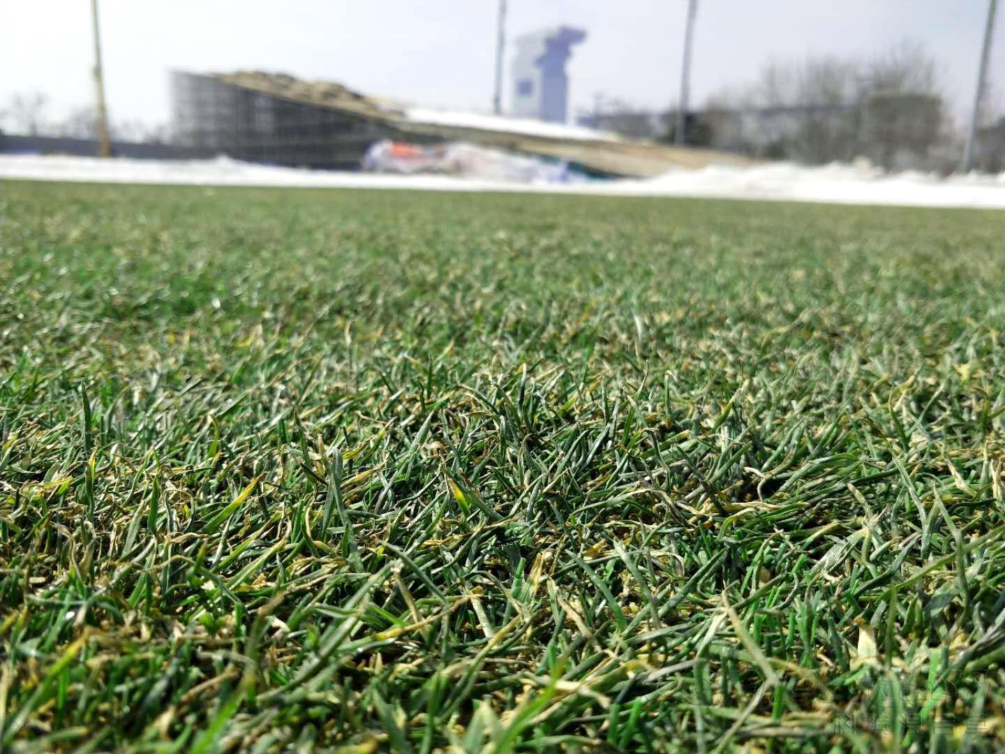 冰雪覆盖建筑物,冰雪覆盖效果