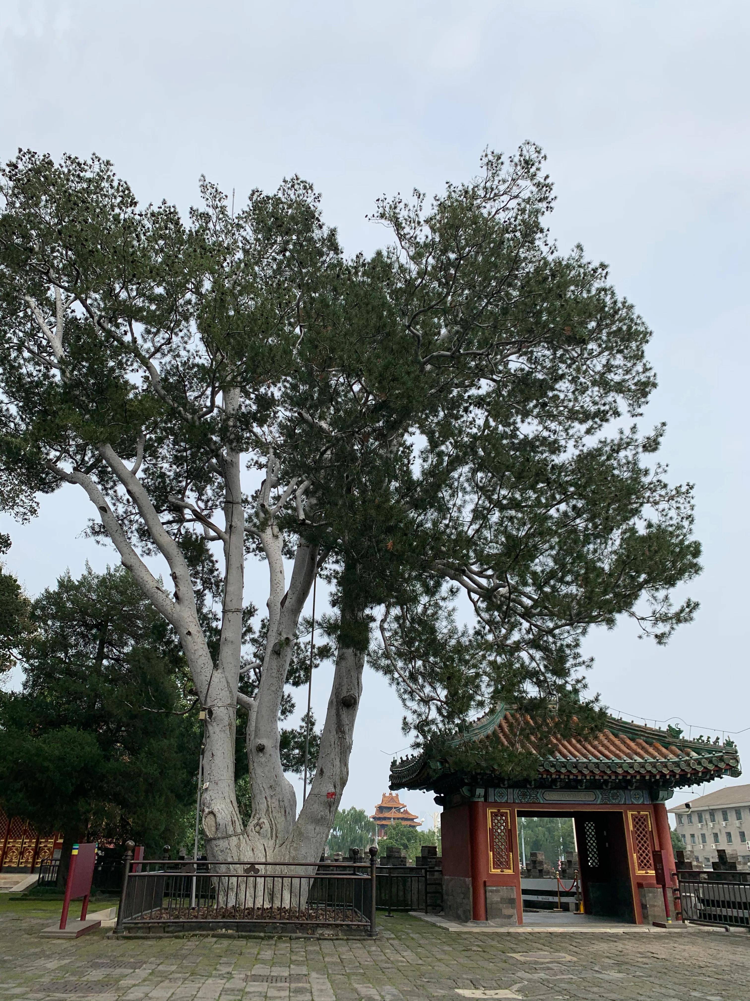 关于徐志摩的旅游景点,北京这个城市的名胜古迹