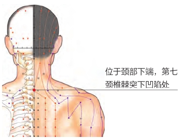 艾灸哪个穴位治疗湿疹最有效,治疗各个部位湿疹的穴位图