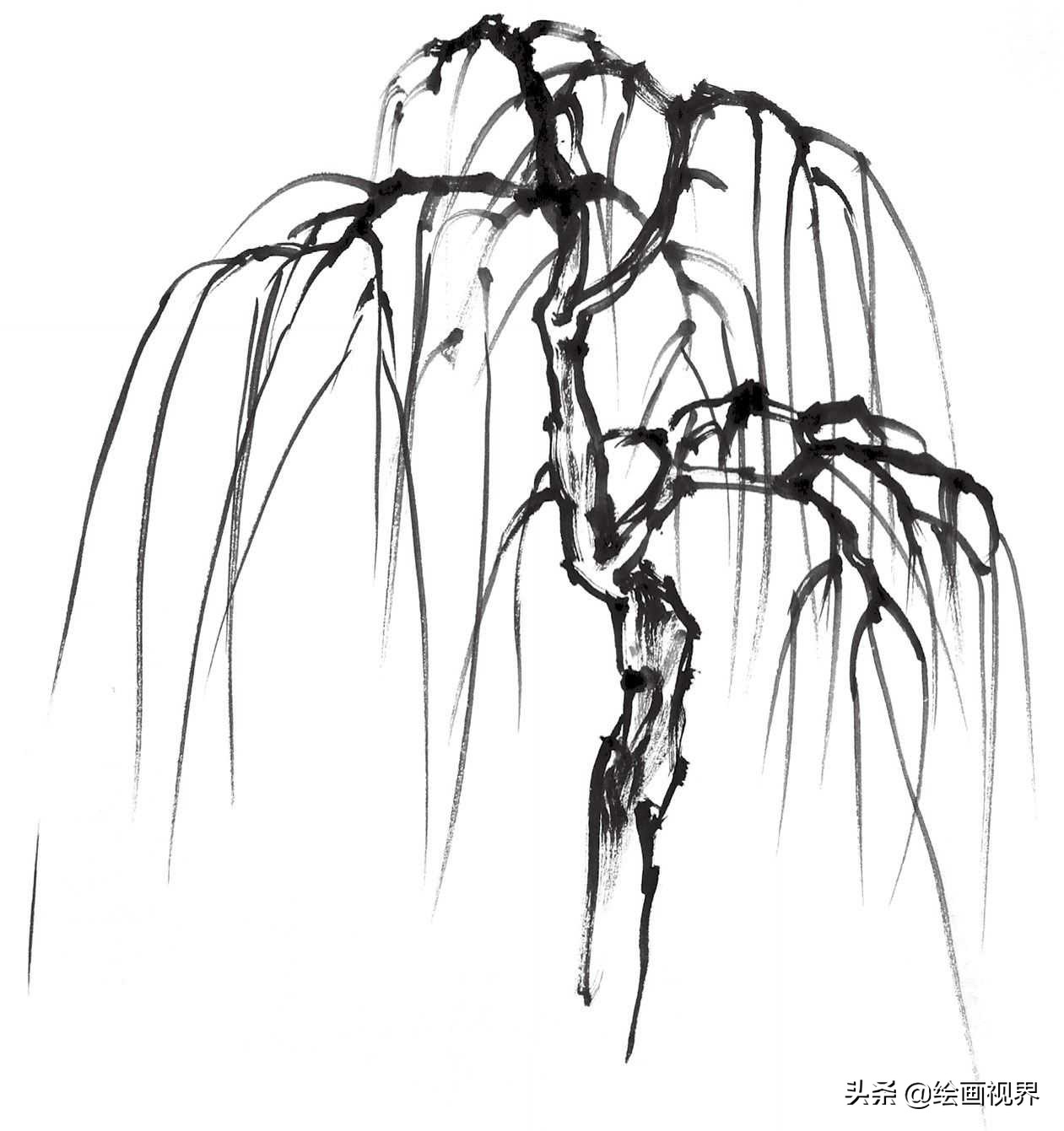 国画双钩树的画法入门,国画杂树与山石的画法图片