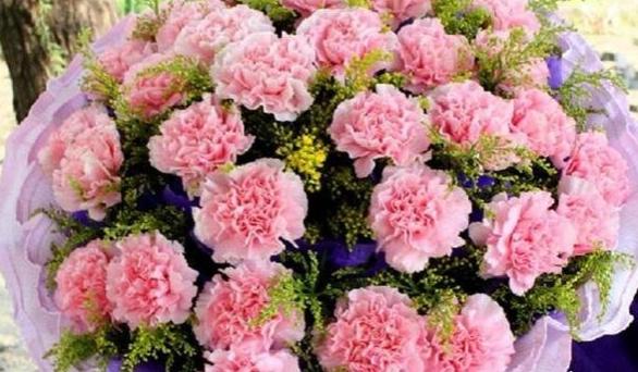 适合送给老师的花有哪些7种最适合送给老师的花,灯笼花代表感恩