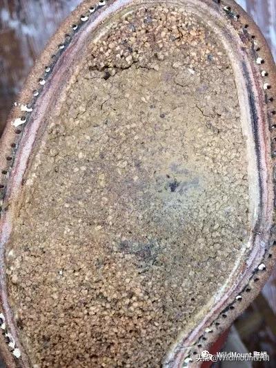 日本BECKMAN靴子修复换底-主理人-AkihiroMatsumura