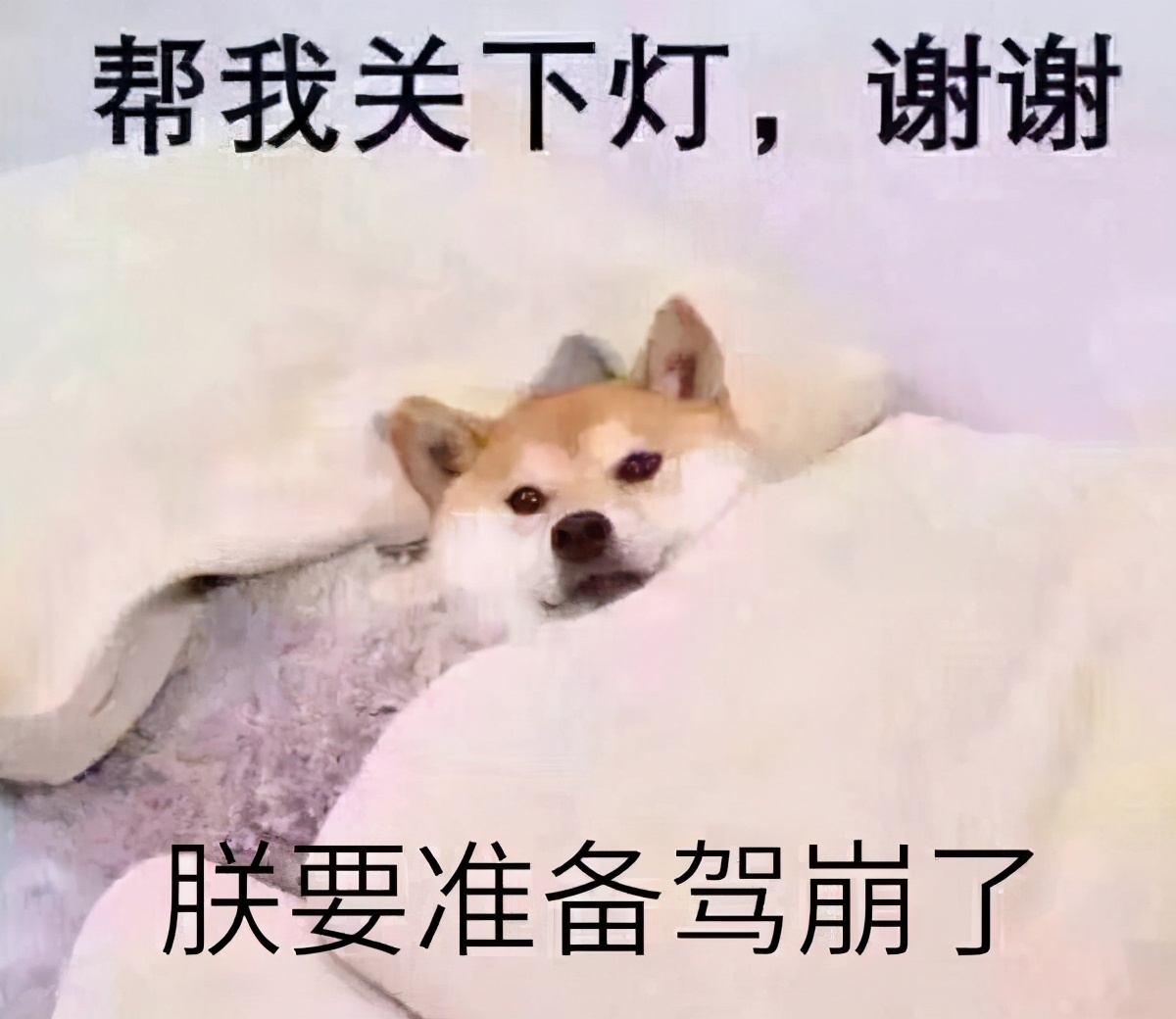 面包学徒真的很辛苦吗,面包学徒的真实经历