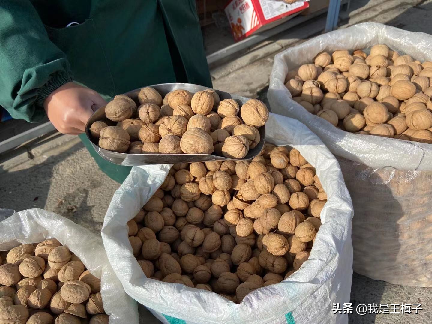 核桃产地哪里的最好吃,核桃的产地哪里的最好最正宗呢